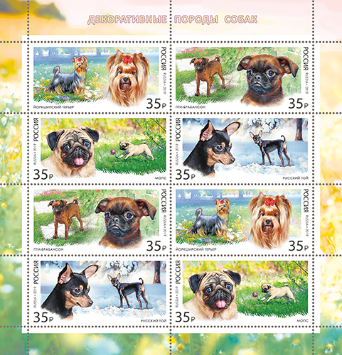 decorative-room dogs