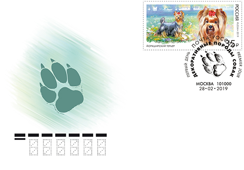 Yorkshire terrier