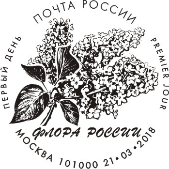 Flora of Russia. Lilac