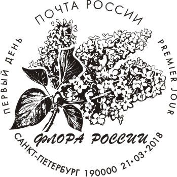 Flora of Russia. Lilac