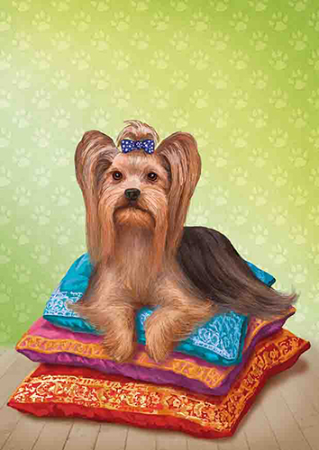 Yorkshire terrier